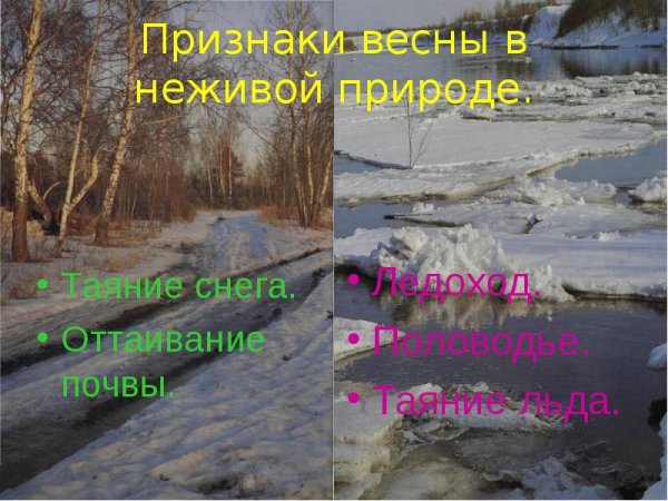 Приметы весны для дошкольников
