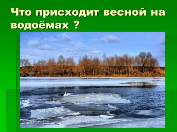 Весенние явления в жизни растений