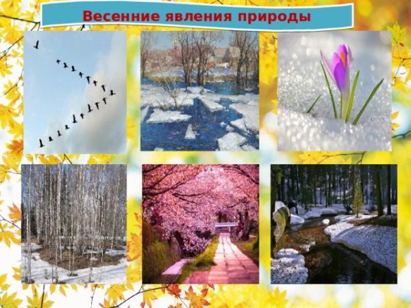 Весенние изменения в природе
