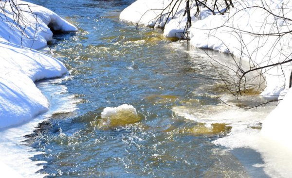 Весна бегут ручьи