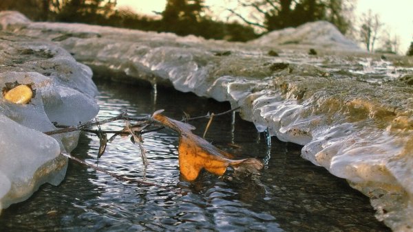 Весенний Ручеек