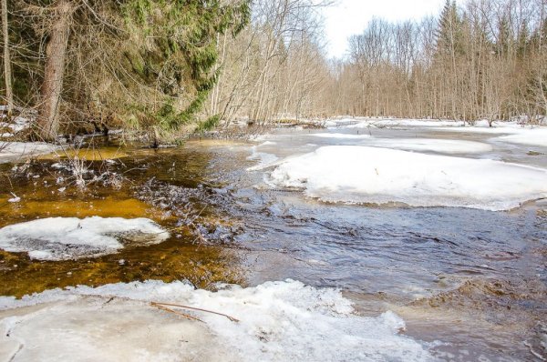 Говорливые ручейки