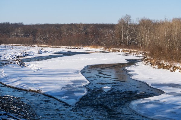 Дети прыгают по лужам