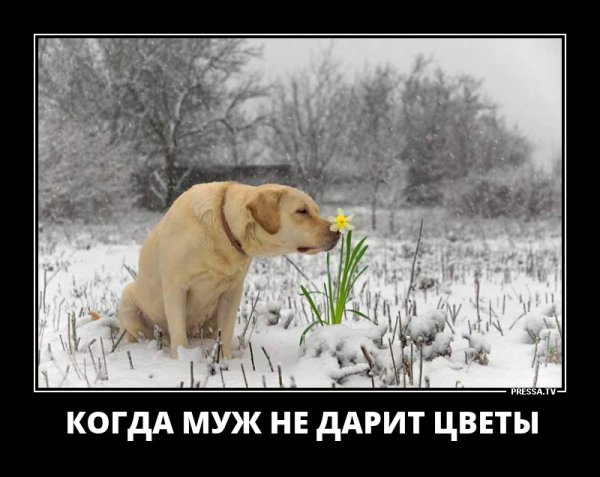 Запахло весной прикольные картинки с надписями