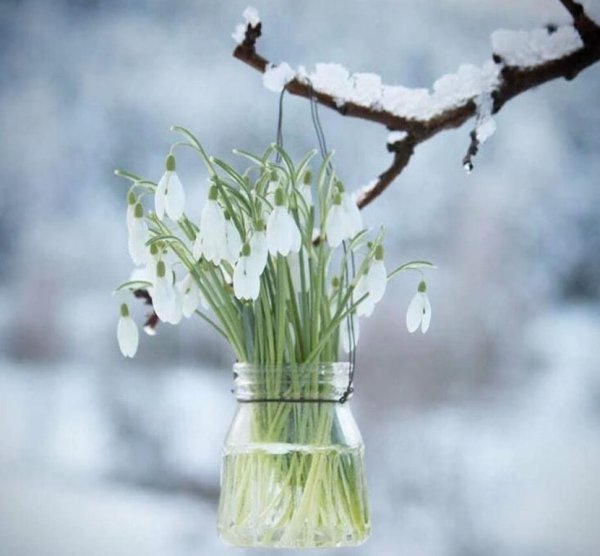 Весна в заснеженном саду