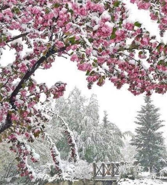 Ранняя Весна в горах