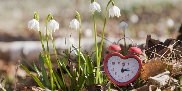 Весенние перемены