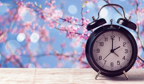 Весна Верба