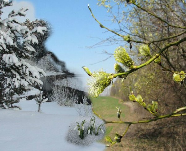 Зима Весна