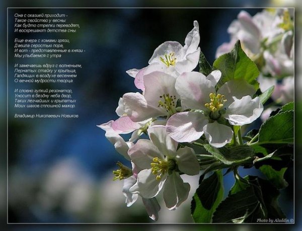 Роден Амур и Психея