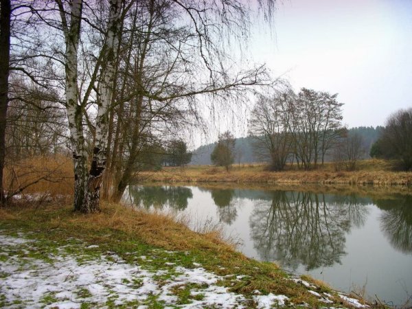 Конец апреля пейзажи