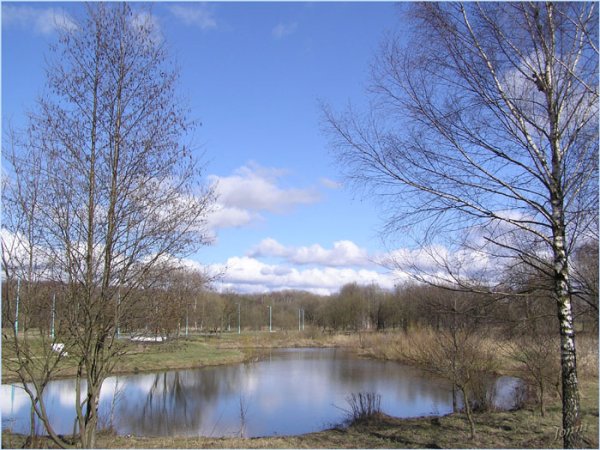 Конец апреля природа