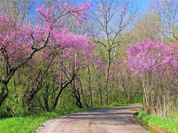 Весна апрель май