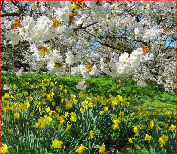 "Очарование весны"