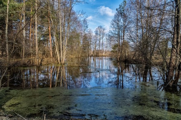 15 Апреля середина весны