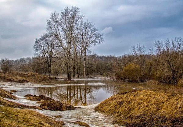 Природа Весна апрель