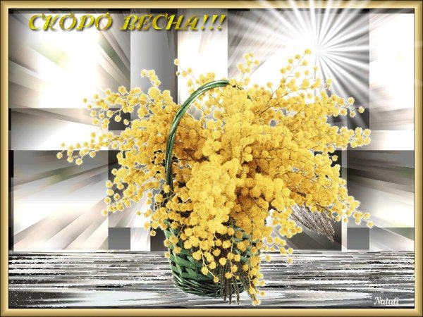Анимашки скоро Весна