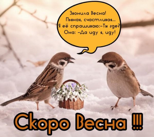 Скоро Весна прикольные