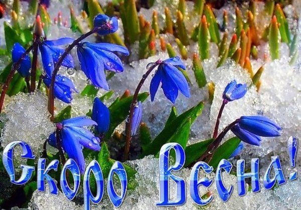 Доброе утро с первым днем весны
