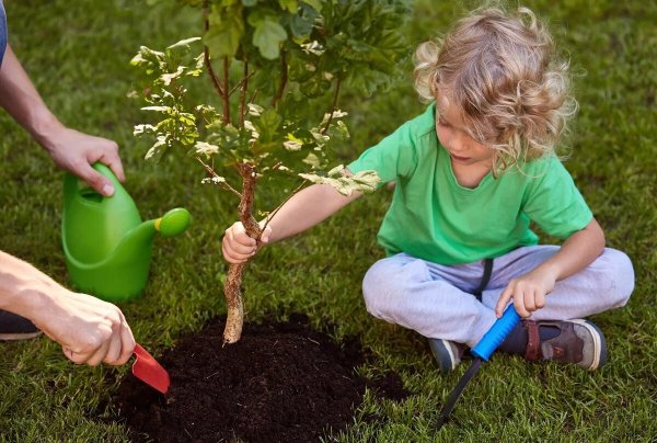 Сажать деревья