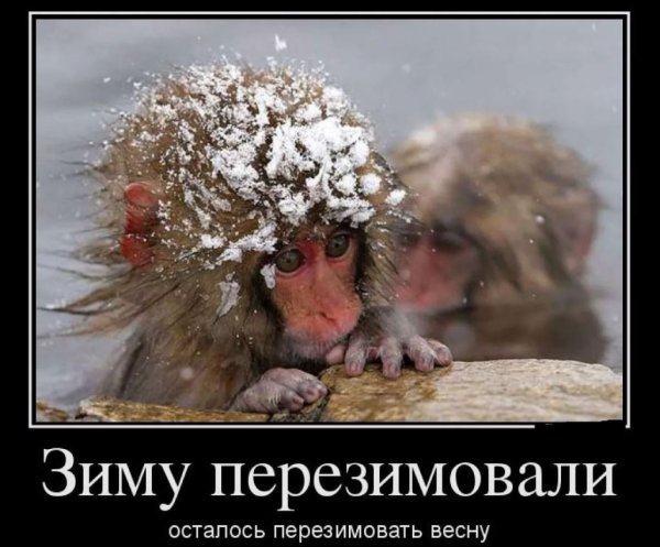Приколы про весну