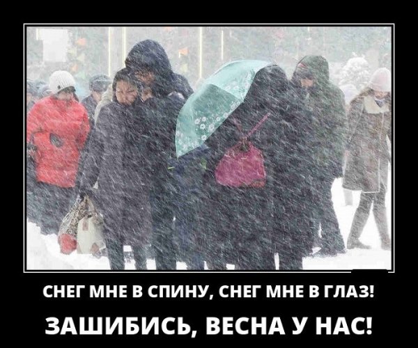 Думали Весна херушки