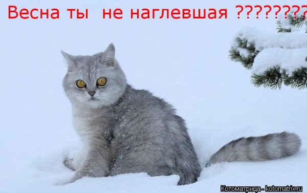 Зиму перезимовали и весну Перезимуем