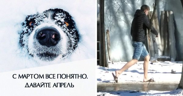 Где Весна