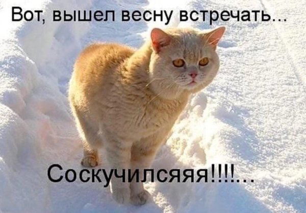 Жду весну