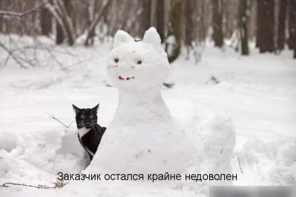 Кот пришел домой в снегу