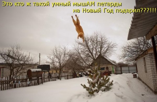 Зима вернулась