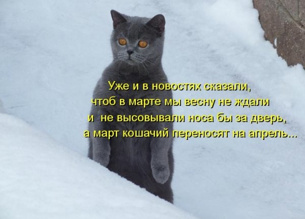 Перезимуем весну