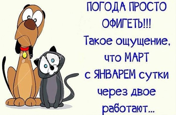 Приколы про зиму и весну