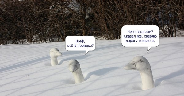 Пришла Весна, какашки