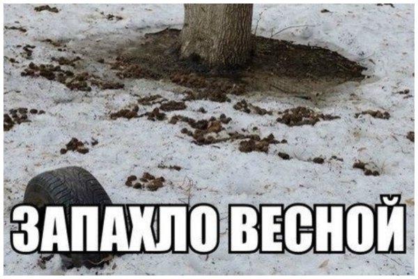 Опять снег идет