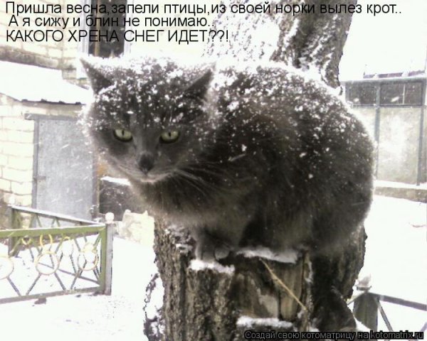 Жду весну юмор