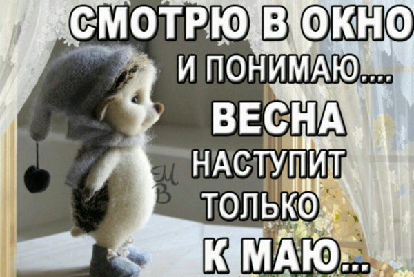 С первым весенним снегом