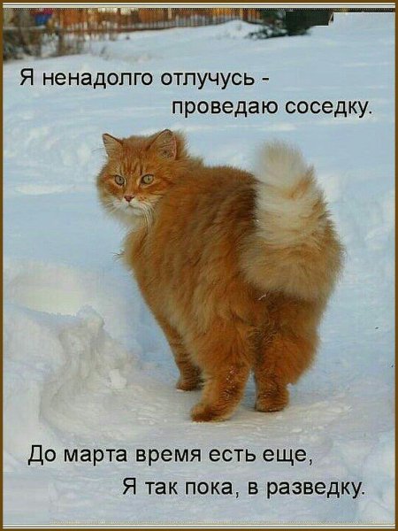 С весной прикольные