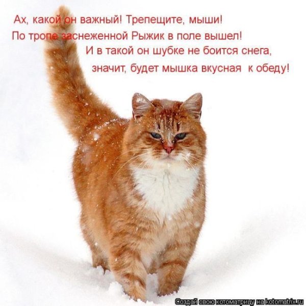Открытки снег в апреле