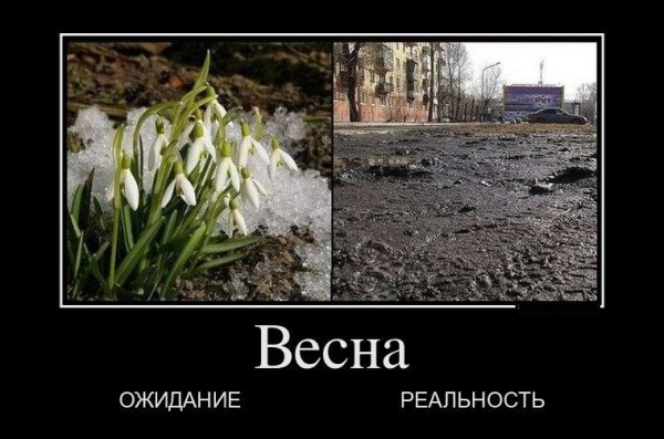 Дождались весны
