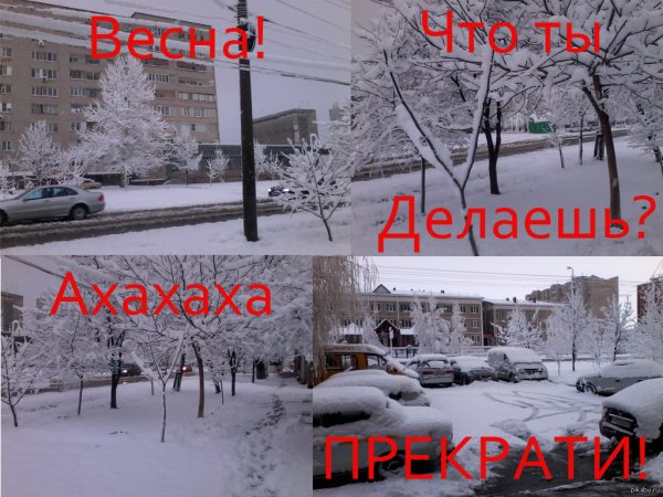 Смешные афоризмы про весну