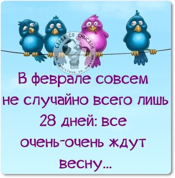 Зима пришла