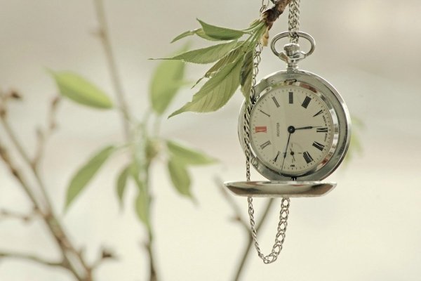 Красивые весенние часы
