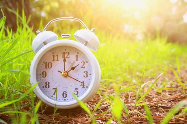 Лето будильник