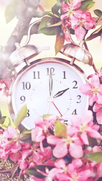 Часы в весенних цветах