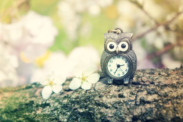 Часы милые картинки