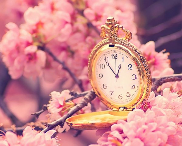 Часы в весенних цветах