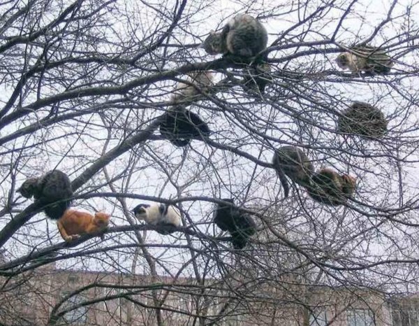 Весна чуть чуть мешает метр снега