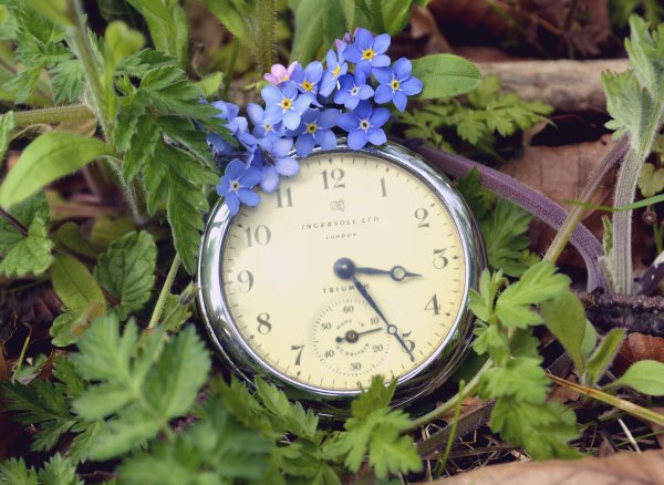 Часы "цветок"