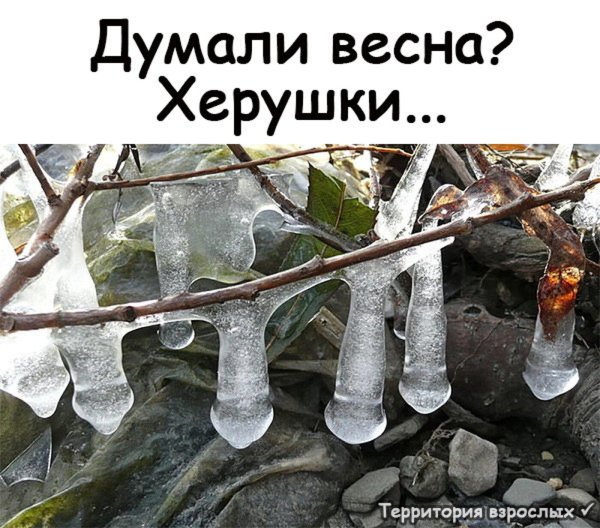 Весна пришла